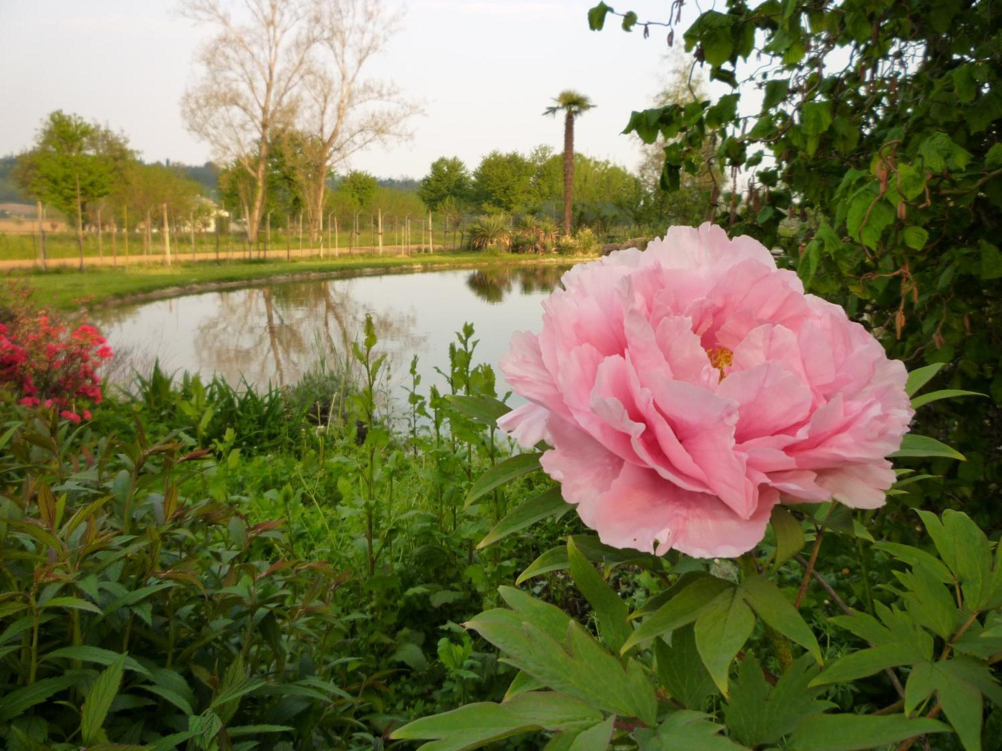 Country House Barone D'אסולו מראה חיצוני תמונה