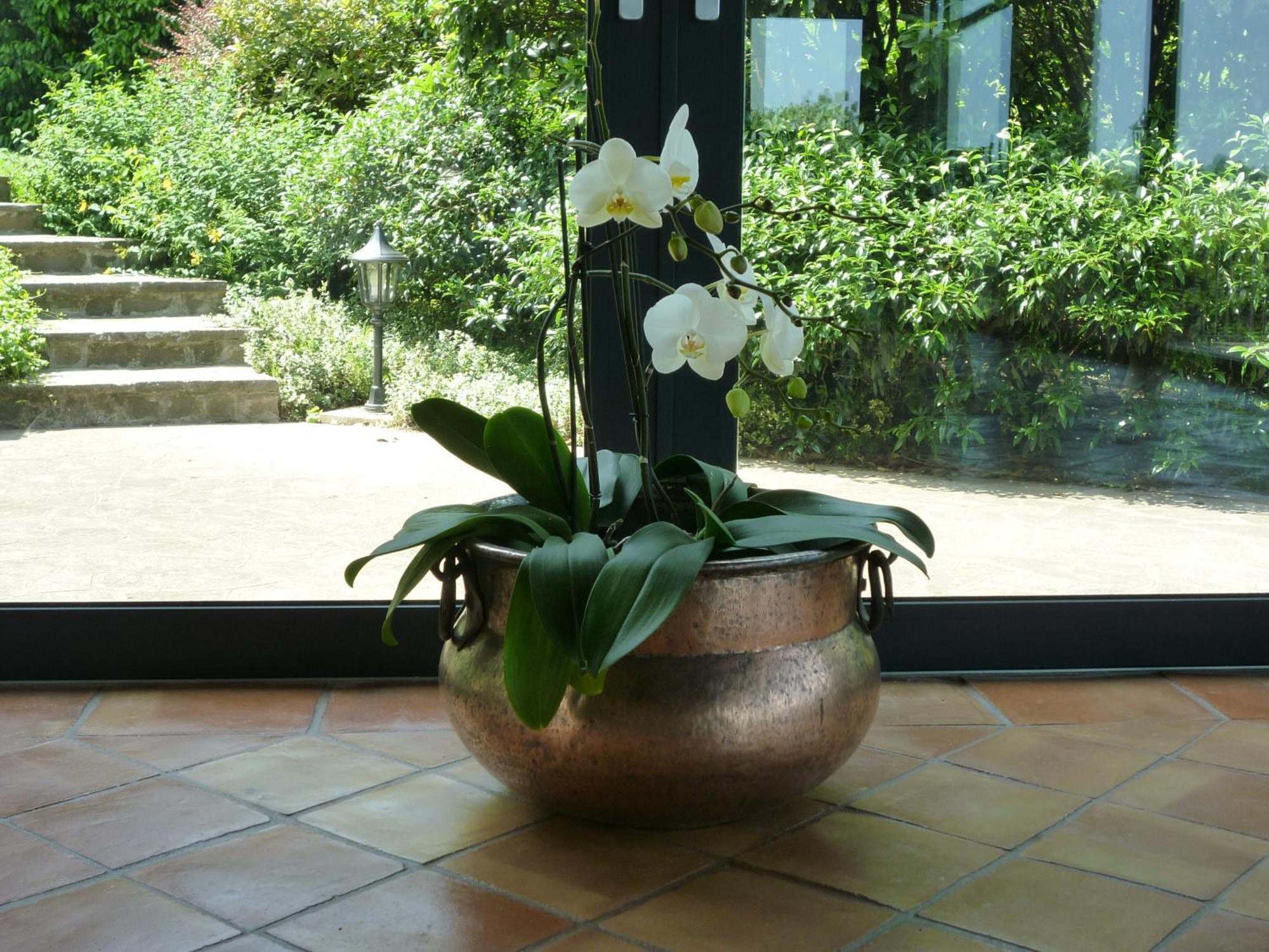 Country House Barone D'אסולו מראה חיצוני תמונה